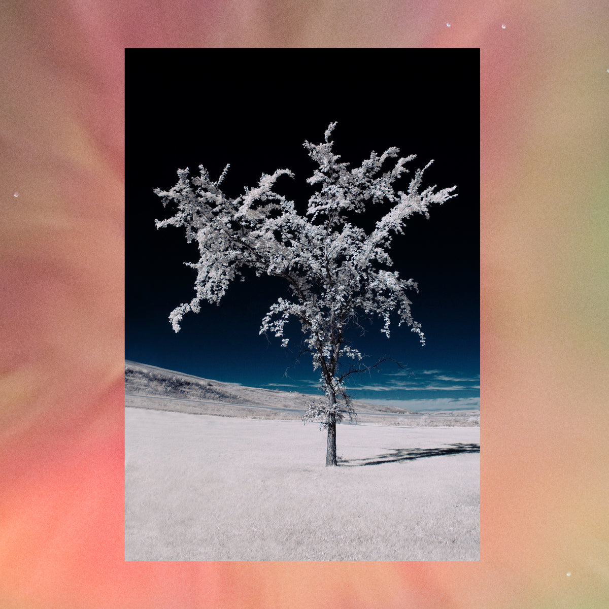 The Space Between — Signed Photo Print