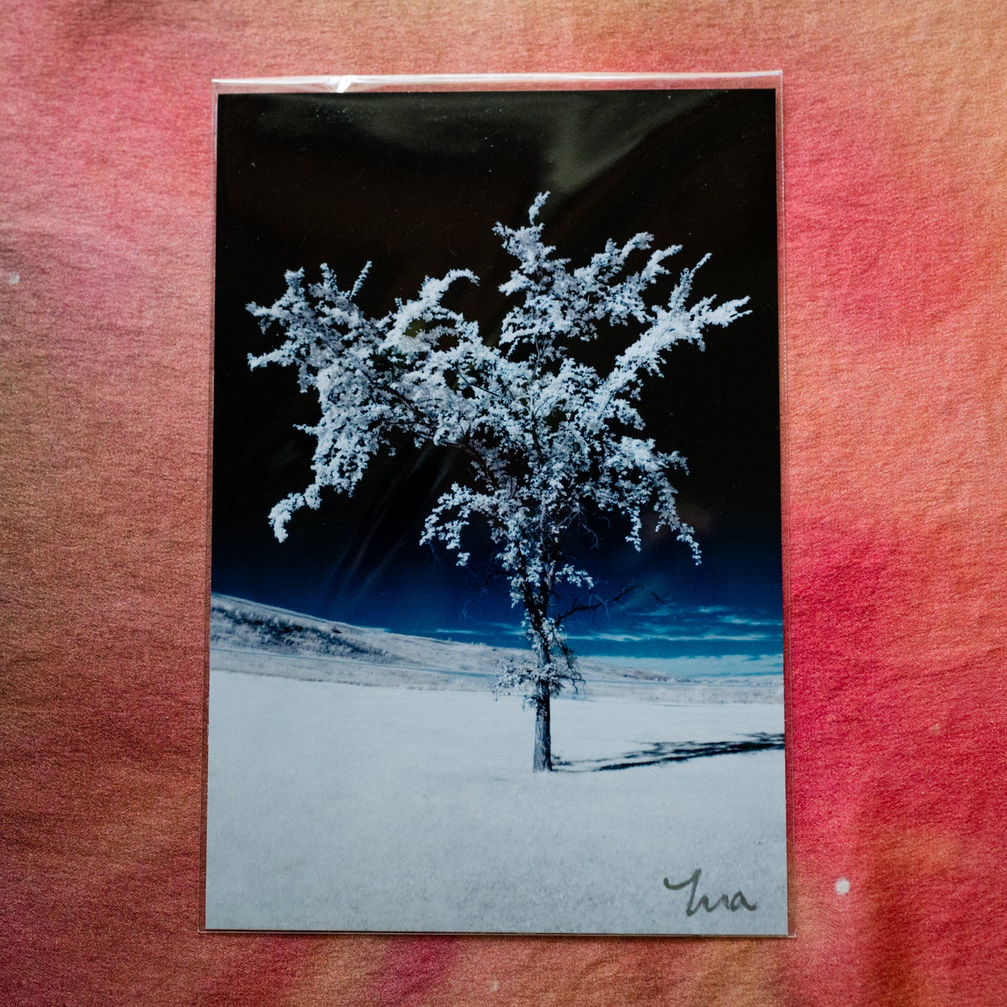 The Space Between — Signed Photo Print