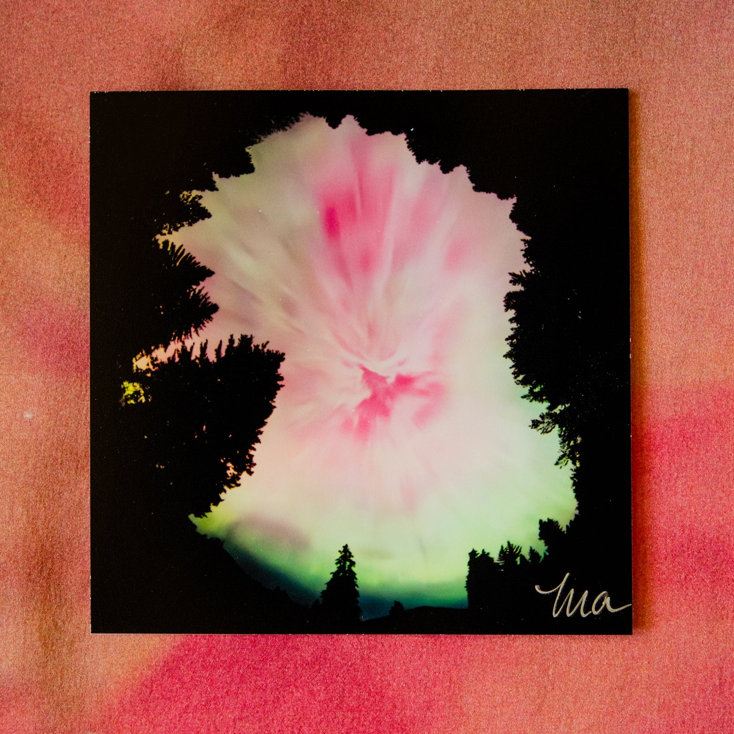 Beneath the Veil — Signed Photo Print