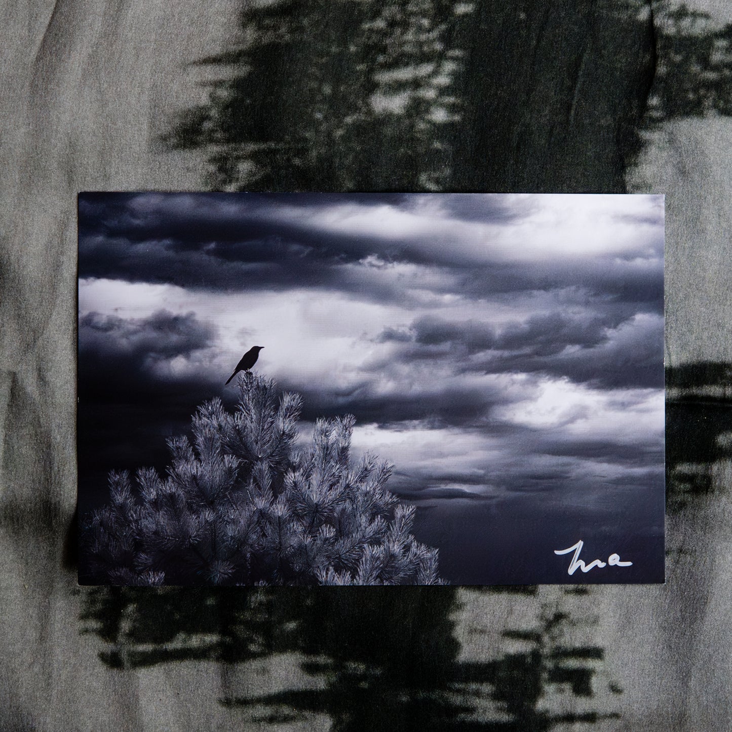 My Little Guardian — Signed Photo Print
