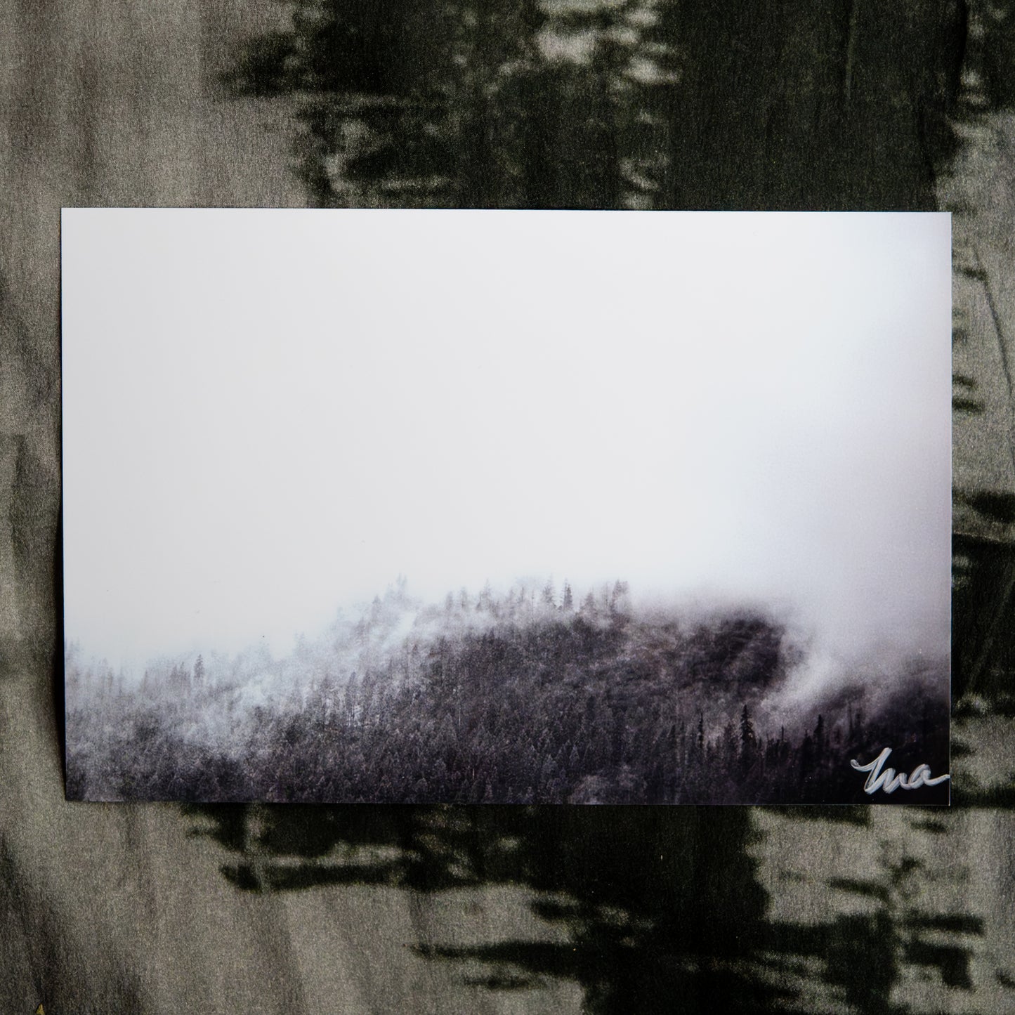 The Veil — Signed Photo Print