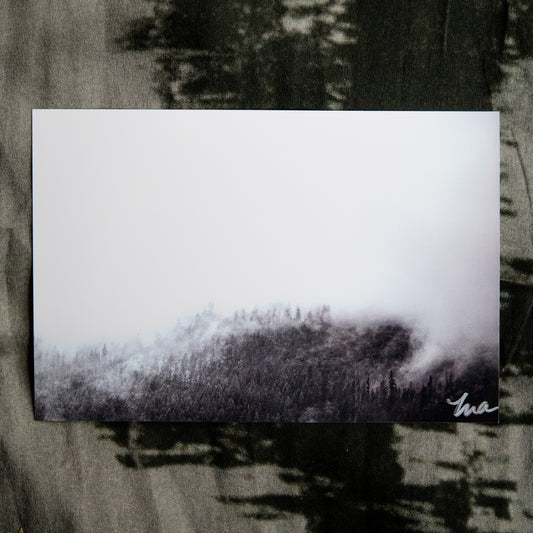 The Veil — Signed Photo Print