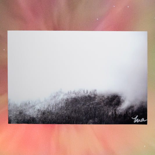The Veil — Signed Photo Print