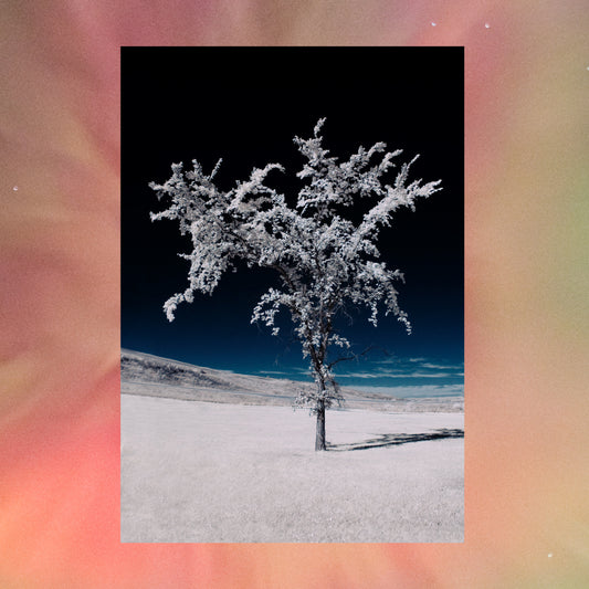 The Space Between — Signed Photo Print