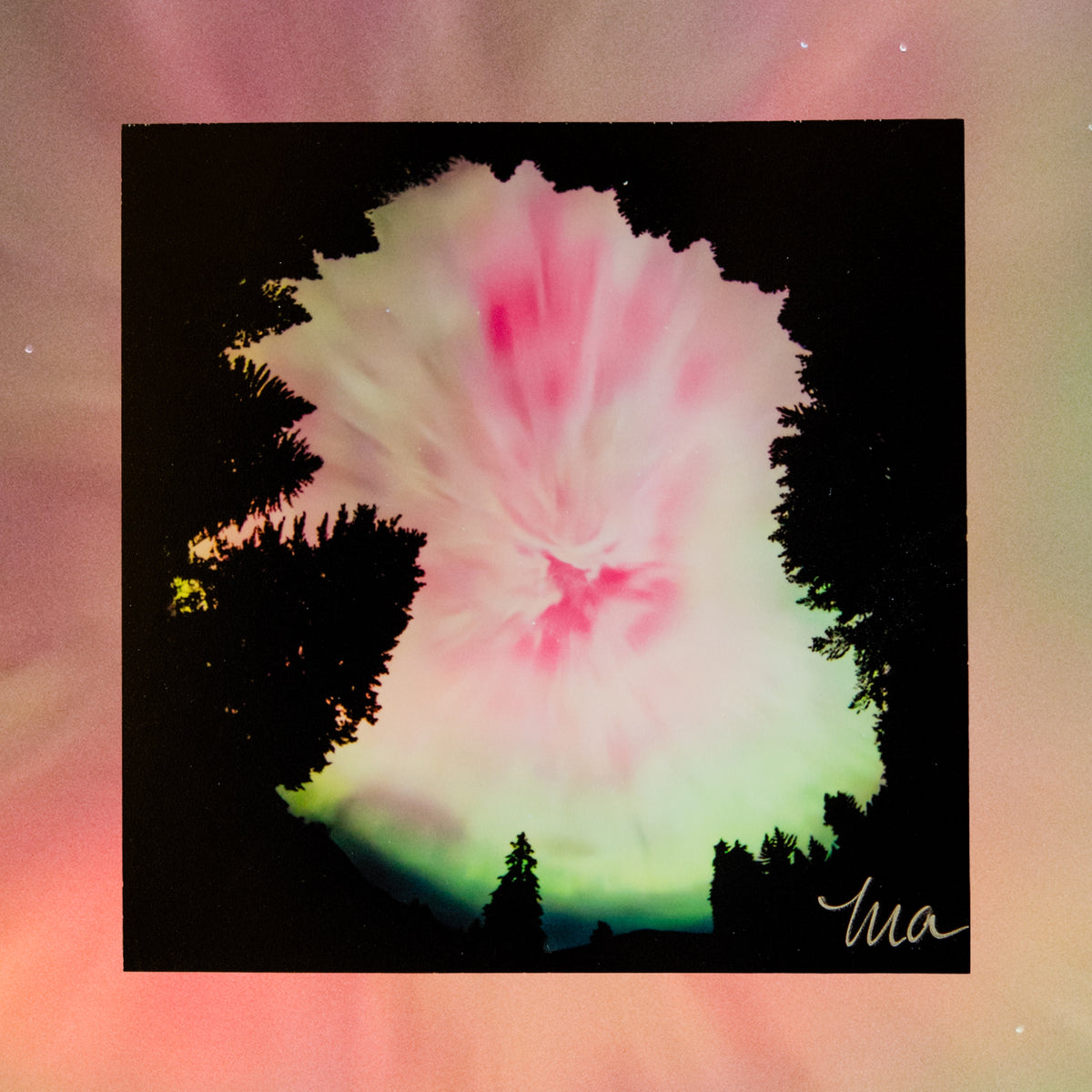 Beneath the Veil — Signed Photo Print