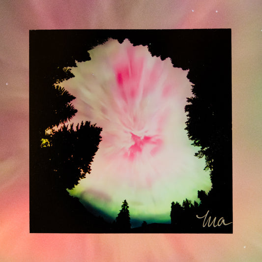 Beneath the Veil — Signed Photo Print