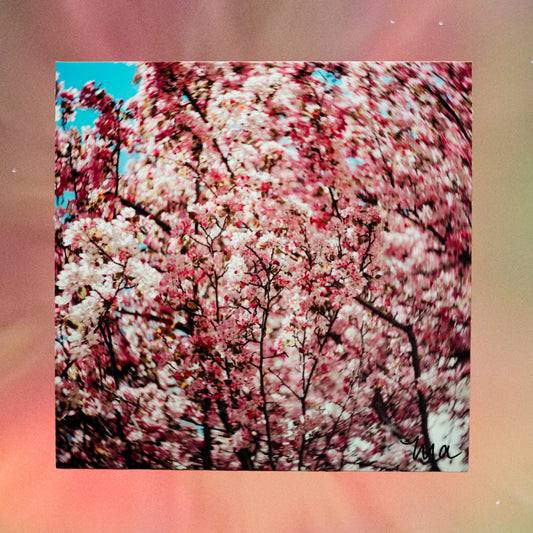 Bloomspell — Signed Photo Print