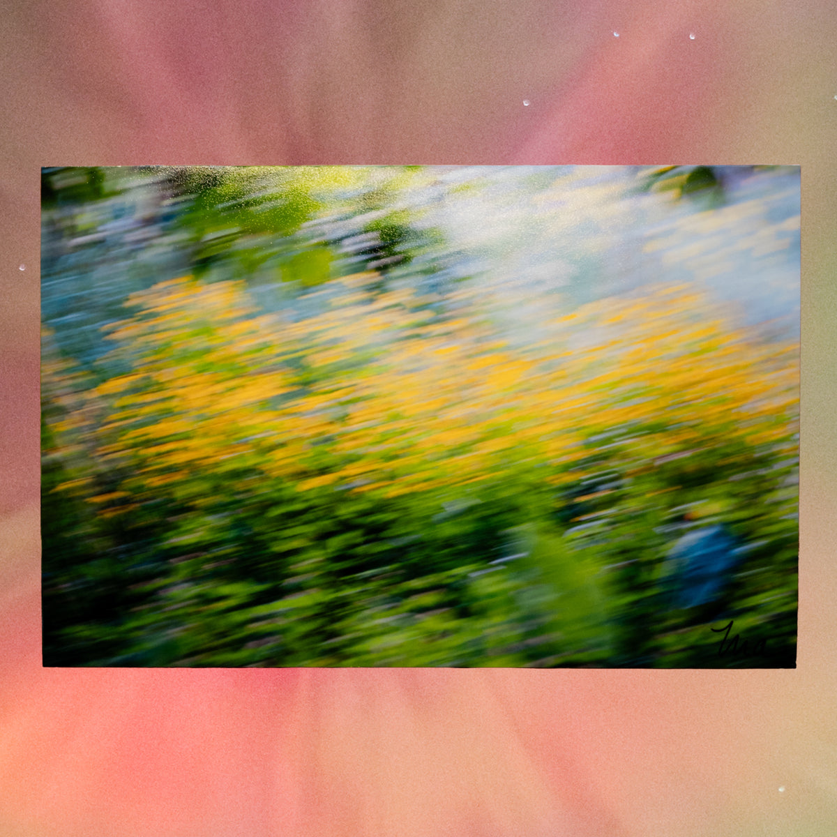 Where I Let Go — Signed Photo Print