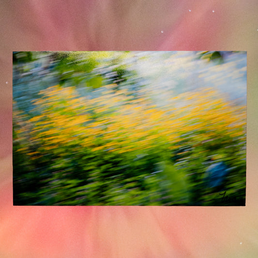 Where I Let Go — Signed Photo Print