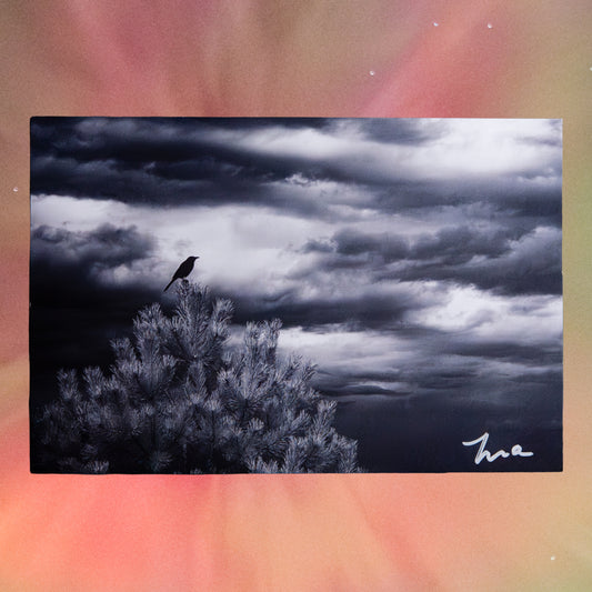 My Little Guardian — Signed Photo Print