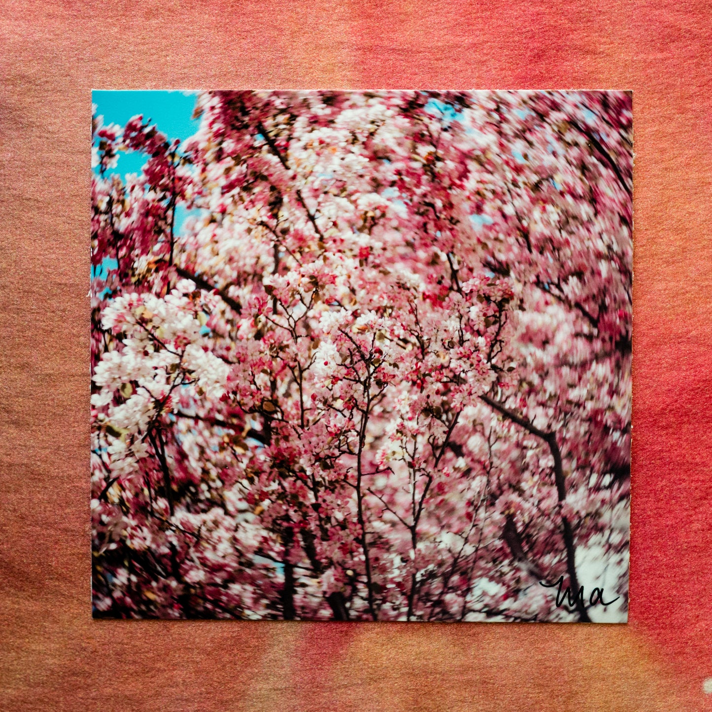Bloomspell — Signed Photo Print