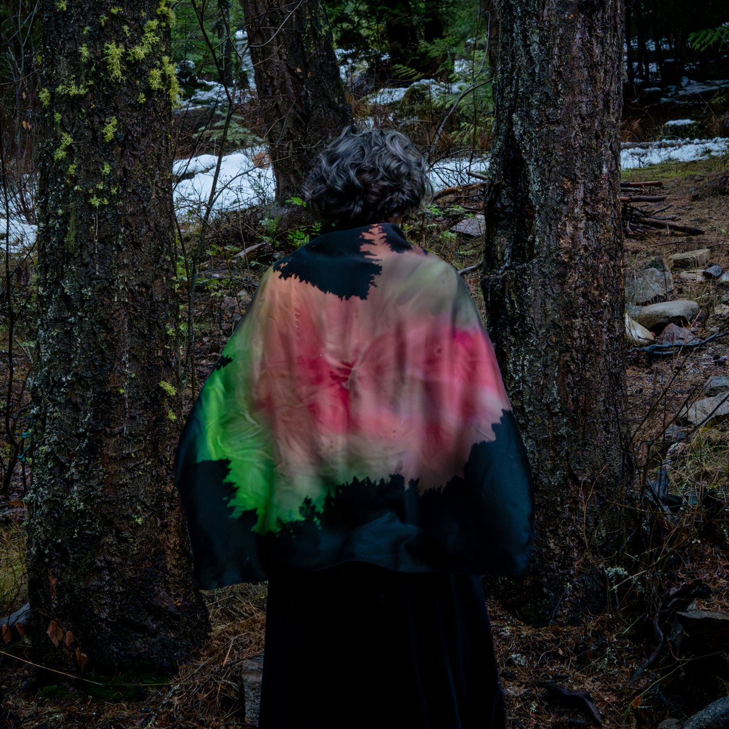 The Celestial Ritual Veil