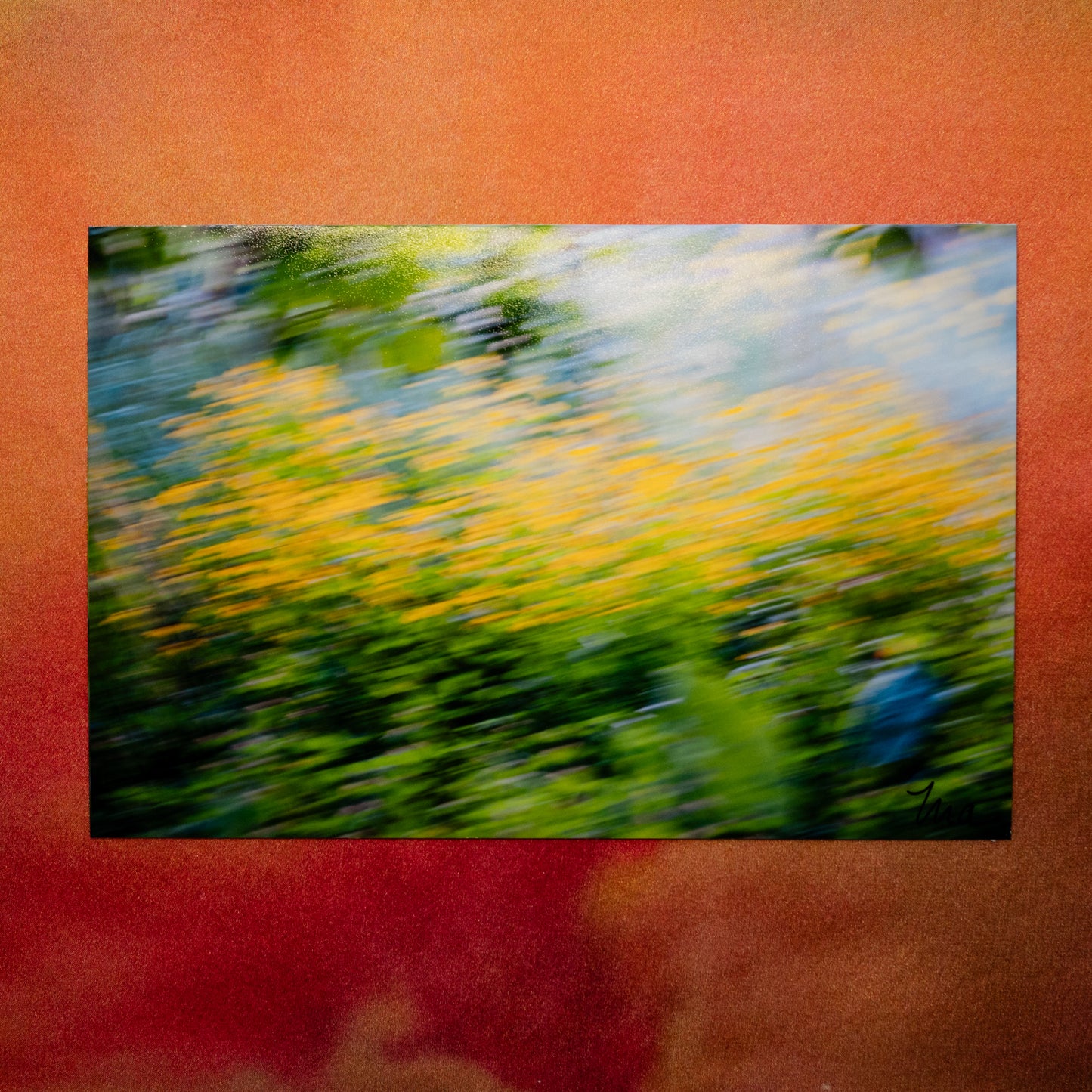 Where I Let Go — Signed Photo Print